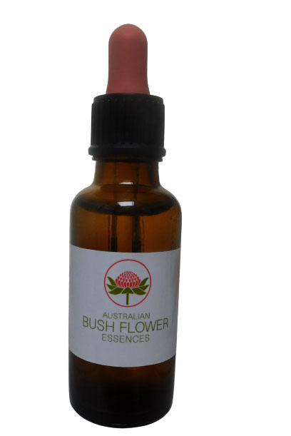 Dog Rose of the Wild Forces 30ml Dosage